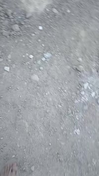 ١٥٠م • غرفتين • طريق ال عواد