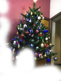 للبيع شجرة ميلاد مع الملحقات الطول 2 متر   وتسب 07901833695