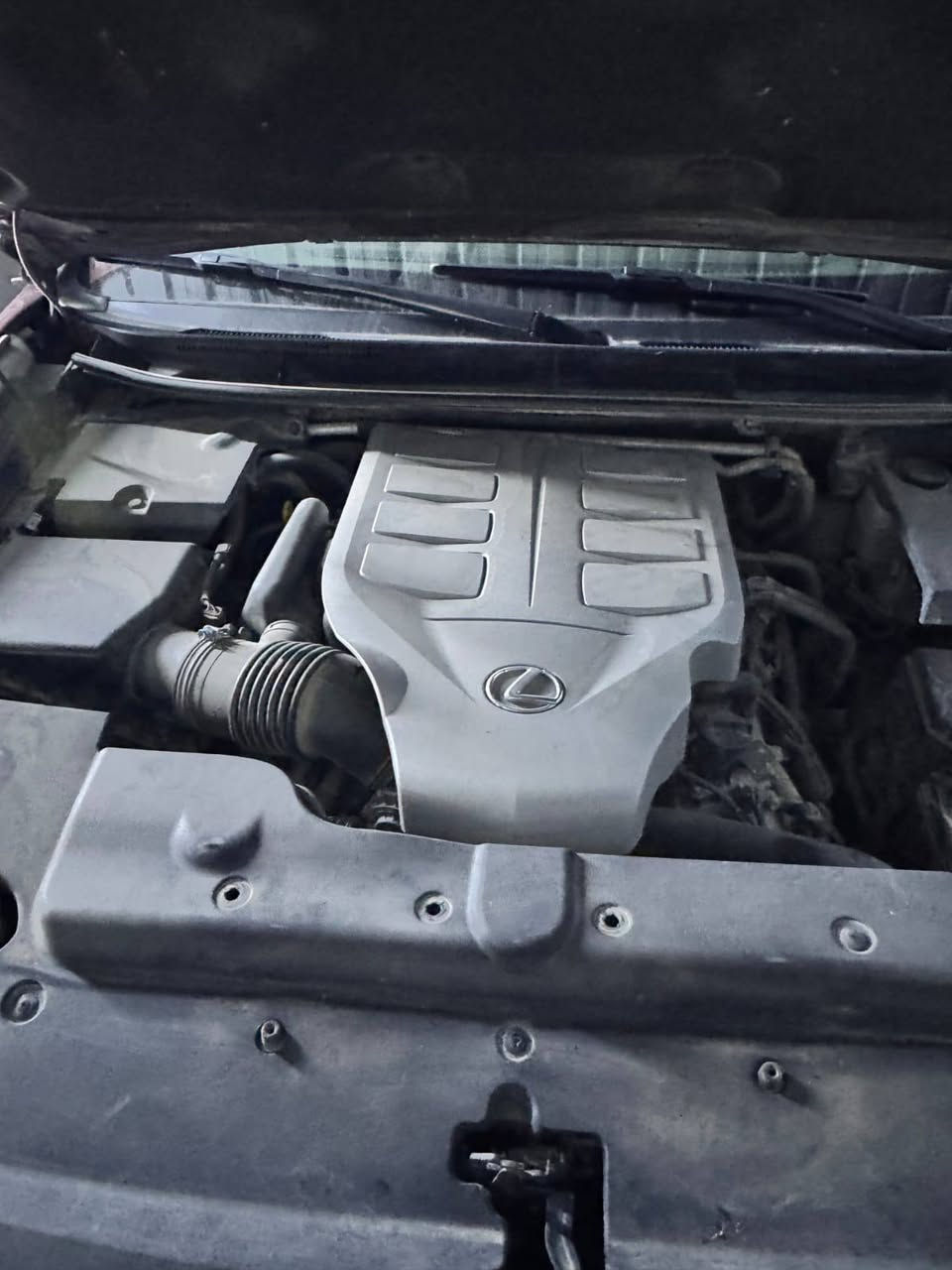 للبيع لكزز برادو LX460 2018 وارد امريكي رقم بغداد انكليزي
مواصفات فوول 
فتحة سقف
تحكمات استيرن 
كشنات تدفئة تبريد
دفع رباعي 
 مري شفط
خزن ميموري للسائق
بصمه 
اشارة ترحيب 
 
للاستفسار ***********
