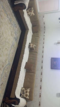 كنب • ١٥٠ • ولير