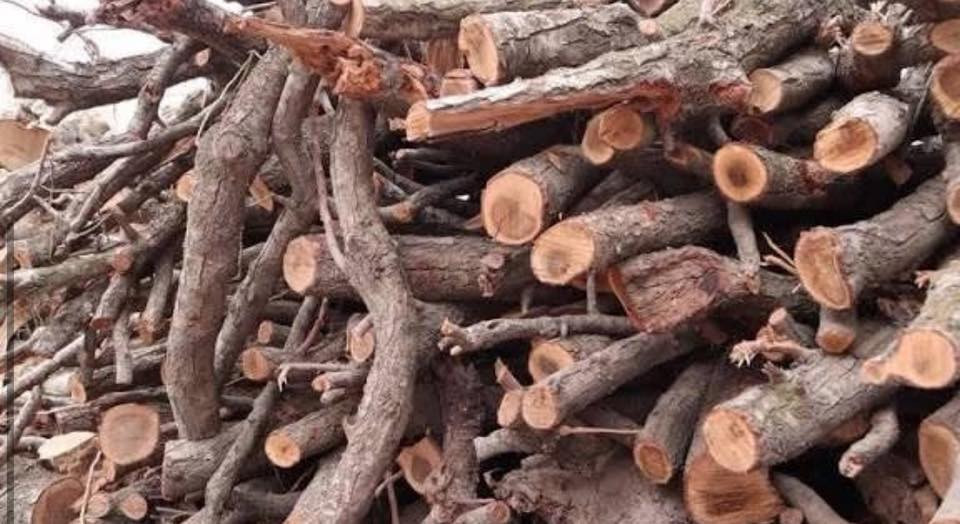 السلام عليكم 
اي احد محتاج تنضيف بستان حدائق سقي بستان 
قص الاشجار وتنضيفهه 
كافه في كربلاء كافه المناطق 
***********
كص الخشب
