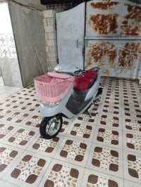 ابو سله نوزل • نضيفه • مكفوله
