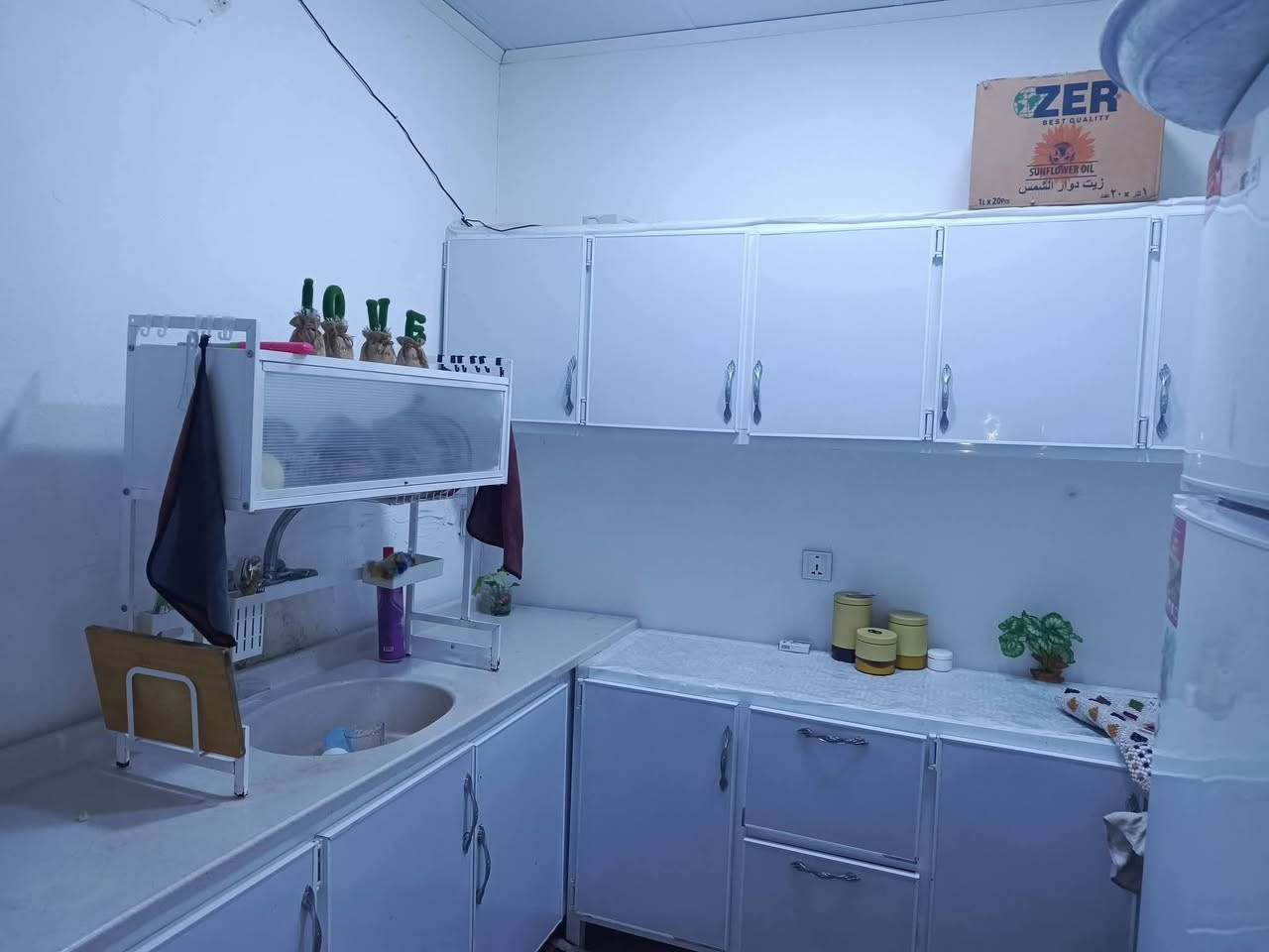 سڵاو هاوڕێیان
هاوڕێیان داشکاندنمان کردووە بۆئەم خانوە
پێشتر 285گڵا بوو 
ئێستە خواری ئەم سعرە
هەرزان  هەرزان  هەرزان
لەکەلار کۆنەوە لەگەڵتانداین
ڕووبەری ئەم خانووە  120مترە
خانوویەکی جوانوو پاکو پختە یە
سەقفی مغربی دکتی مووبەریدە
شوێنی زۆرخۆشە 
ماڵی فەقەقیرە
خانووەکەمان نزیکی مزگەوتوو قووتابخانەیە
کۆڵانی فراوانە
نزیکی کەلاری نوێ
ـــــــــــــــــــــــــــــــــــــــــــــــــــ
ژوورەکانی
میوان
هۆڵ +جێشت خانە
ژووری خەو
حماموو سەرئاو
ـــــــــــــــــــــــــــــــــــــــــــــــــــــ
بۆزانیاری زیاتر پەیوەندی بکە ژمارەکانی نووسینگەوە
***********
***********
***********
ـــــــــــــــــــــــــــــــــــــــــــــــــــــــ
یان دەتوانیت سەردانی نووسینگە بکەن
ناونیشانی نووسینگە
کەلار مەجمووعەی 500ماڵەکە نزیك مزگەوتی تەقوا
