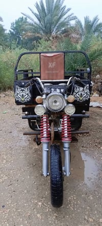 ستوته • موديل 16 • النجف عباسيه