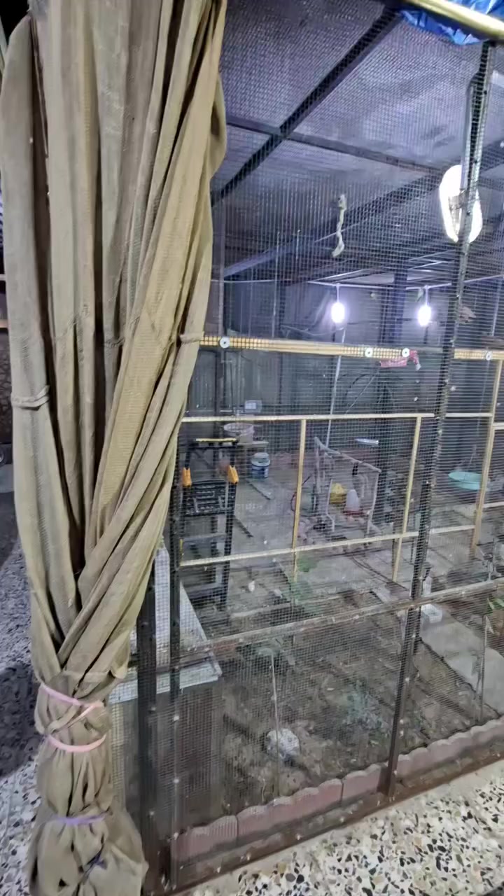 السلام عليكم
محميةللبيع
الطول5.30م العرض5.250م الارتفاع3م
البصرةتقاطع الكزيزة
***********
