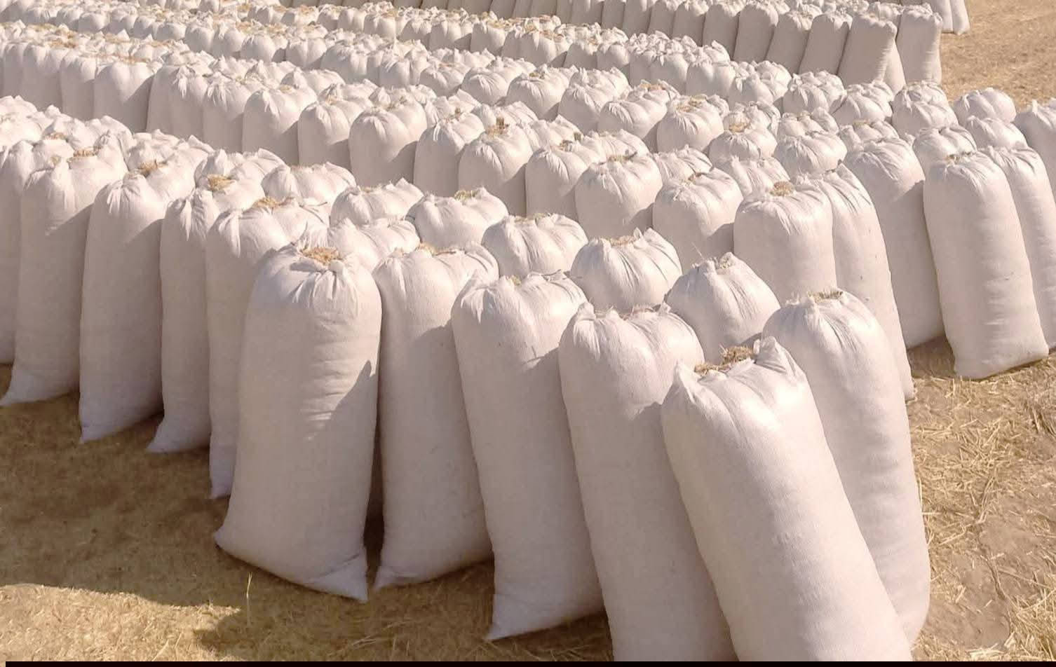 السلام عليكم تبن لبيع بنسب لسعار لرايد تبن يتصل *********** وتوصيل لباب بيتك وددلل
