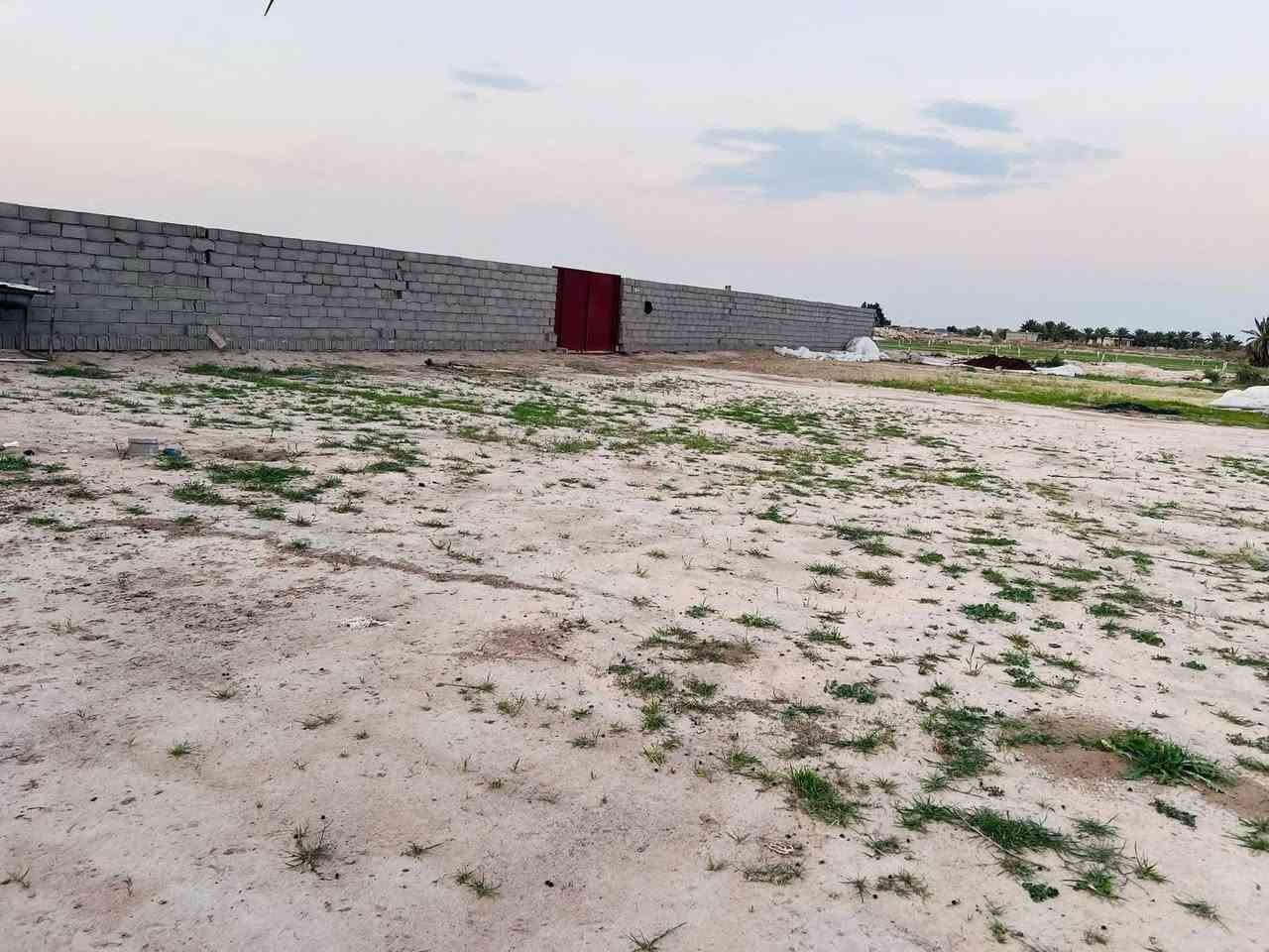 سلام عليكم ارض زراعيه عقد 35 للبيع المساحه 40 دونم طريق كربلاء نجف مفرك الكفل مقابل محطه اسد النجف كافة الخدمات للاستفسار اكثر الاتصال ع الرقم ***********

