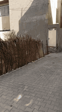 السلام عليكم تعلن شركة الجبوري للعقار والمقاولات العامه عن بيع قطعة أرض ملك صرف زراعي سند 25 في منطقة الكريعات الكويتي الدهاليك شارع الجوبه فرع بيت حمد
1 المساحة 200 مترررر 
2 الواجه 10 مترررر 
3 النزال 20 مترررر 
4 عرض الشارع 6 متررر 
5 السعر مليون و400 المتر الواحد 
عنوان الشركة الكريعات الكويتي شارع حسينية ابي تراب قرب فلكة القرغولي استفسار اتصال على الارقام التاليه 
*********** أبو صكر الجبوري 
***********
