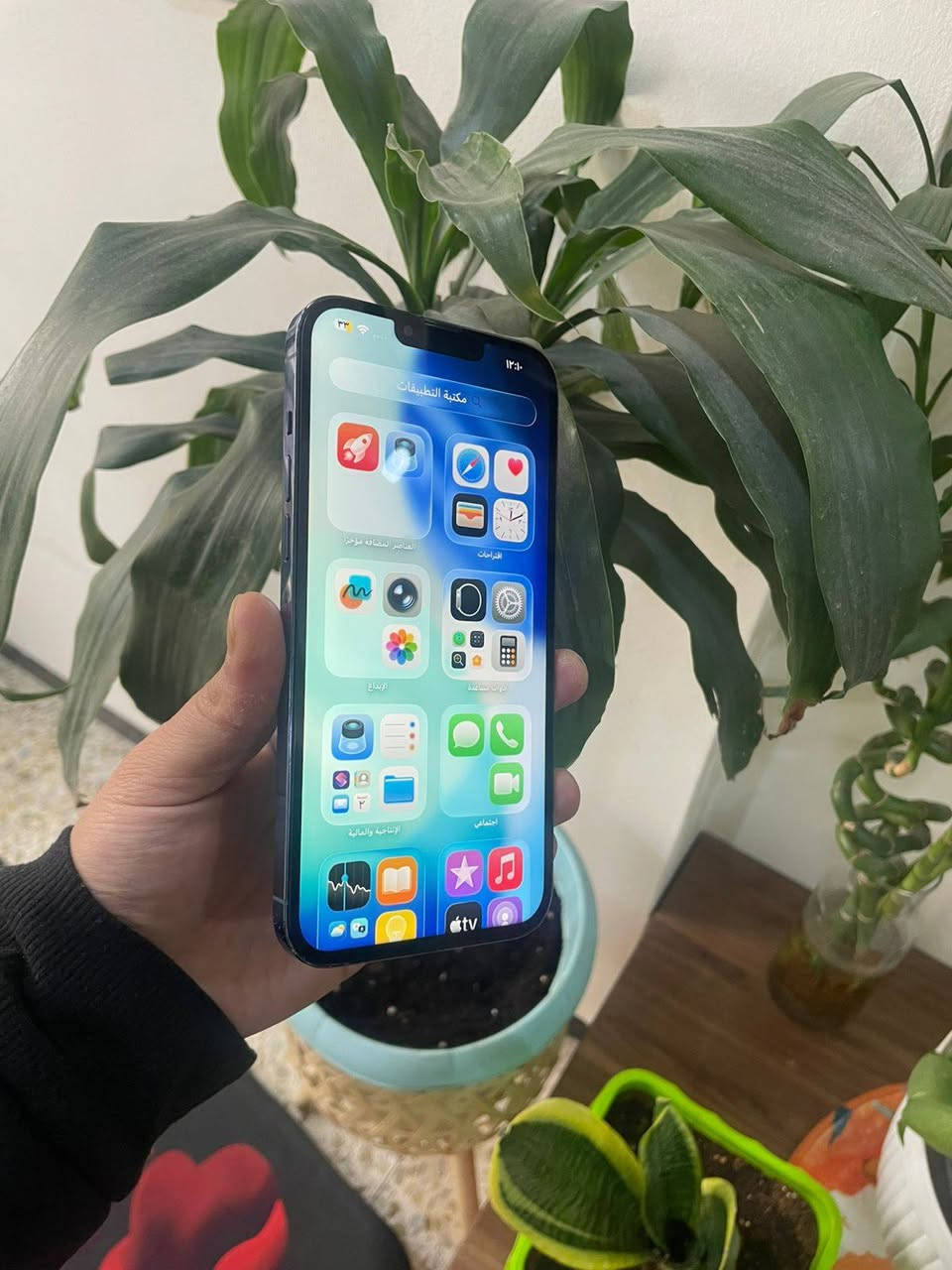 ايفون 13 برو ماكس ذاكره 512 بطاريه 82 بلادي
مبدل كمره وشاشه فول HD
فيس ايدي شغال مكفول من اي عطل 
كامل للاخير  بحري نموذج M
سعره 480 الف 
***********
