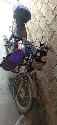 ماطور 2019 • فول شغال