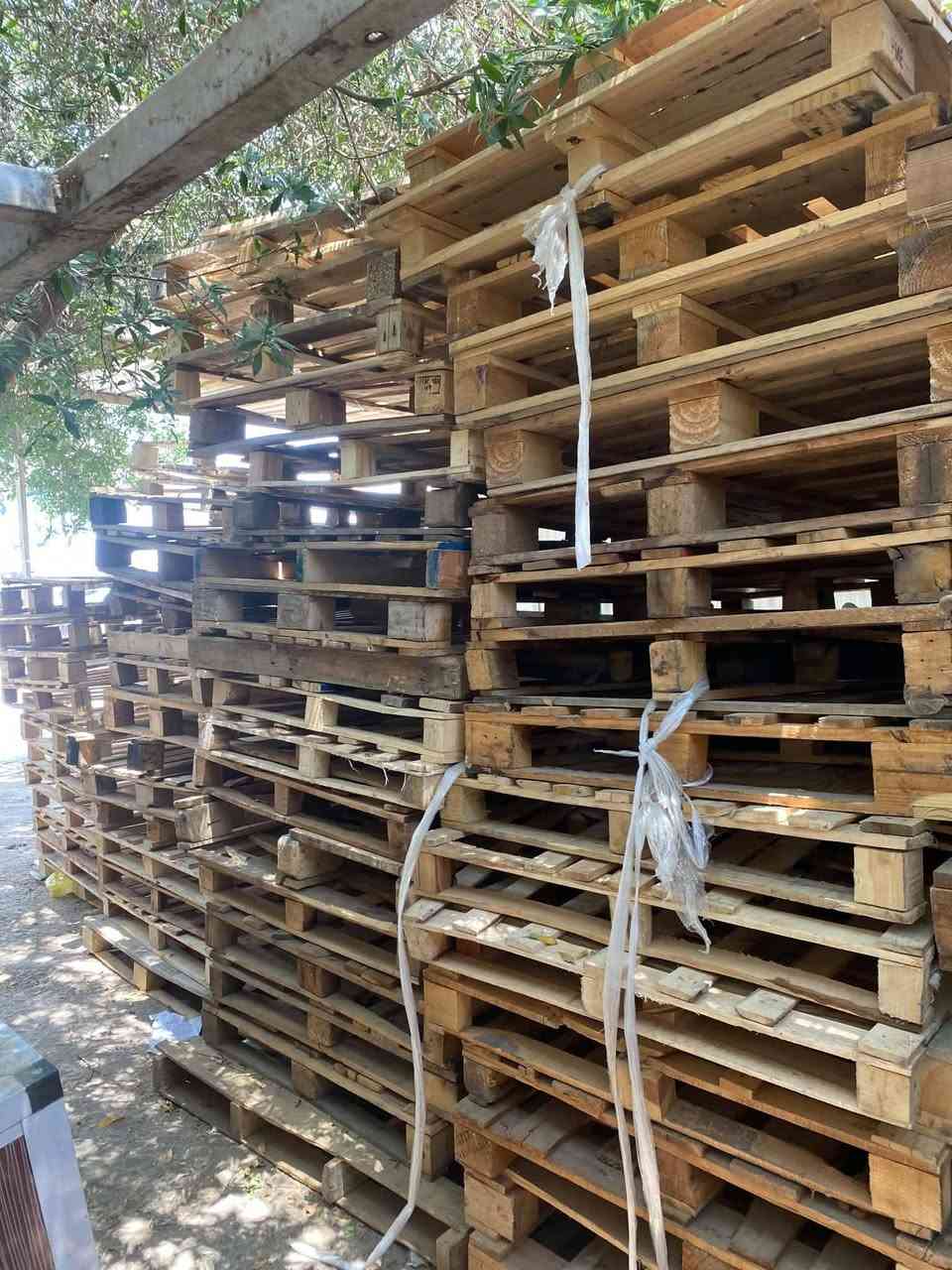 اسكيب امحير قياسات مختلفه ***********/ القطعه 2250

