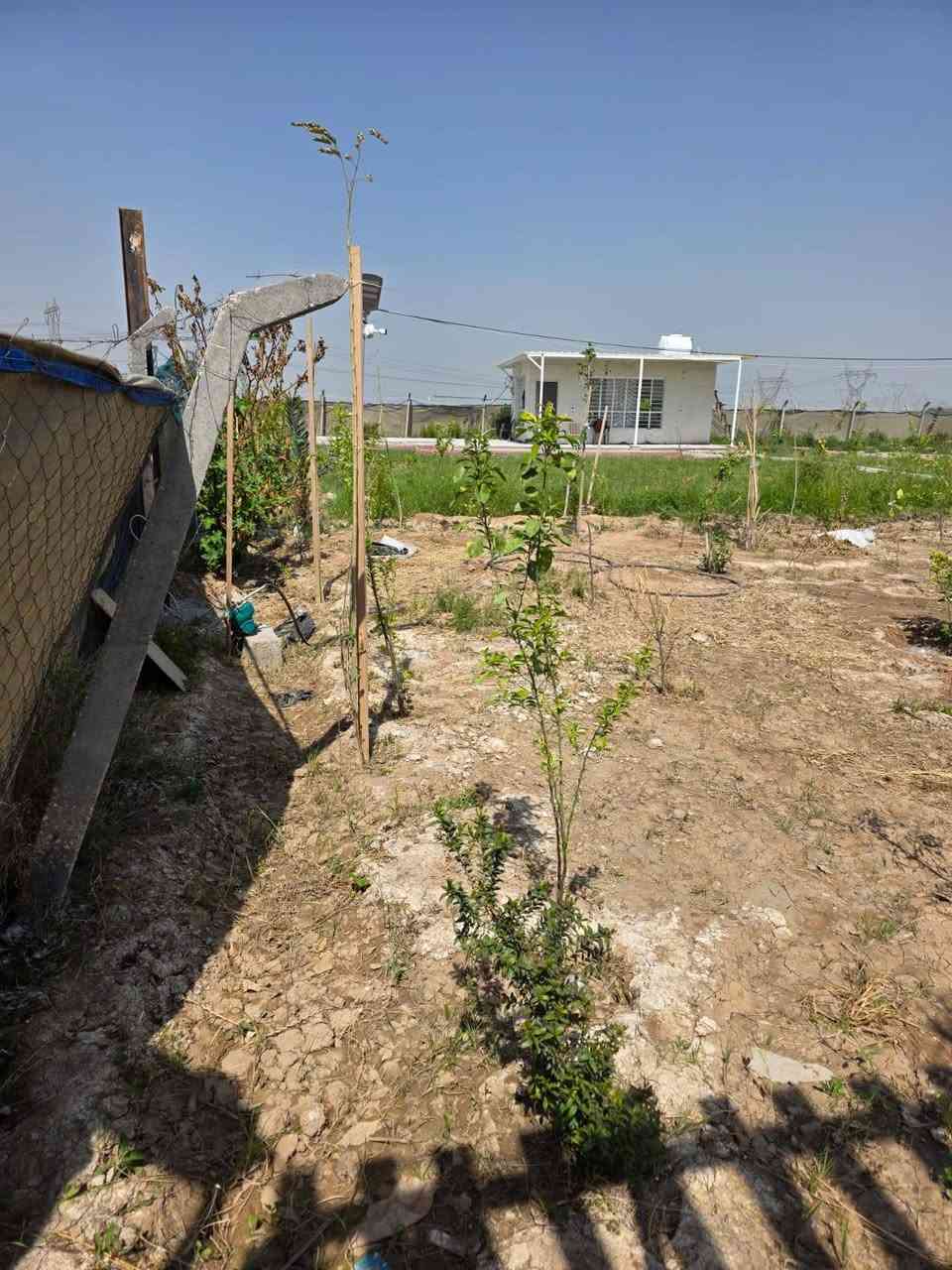 مزرعه مع دار استراحة متكامل 

مساحه نصف دونم 
طابو زراعي سند 25اقرار محكمه على طابو الشعب 

تحتوي على دار استقبال مطبخ صحيات سقف ثانوي 

مي كهرباء اساله وايضا سقي 

طرمه بحدود 50متر وسقيفه خارجيه

تحتوي على 17بلوجكترات +8كاميرات +ماطورات ماء عدد 3+تانكي مي ابو 10الالف+مولد 27امبير بالاظافه الى تخم وبردات ثلاجه سنك كامل من كلشي 

مسيجه بالكامل وجه 27متر 

جيب عائلتك وتتونس بالمزرعه 

تحتوي على انواع شتلات وبعض نخلات 

مكان الثعالبه قريبه على الشعب

السعر 105وبيه مجال


**إذا كنت صاحب هذا الإعلان وتريد حذفه لأي سبب، رجاءا أرسل رسالة إلى الدعم الفني**