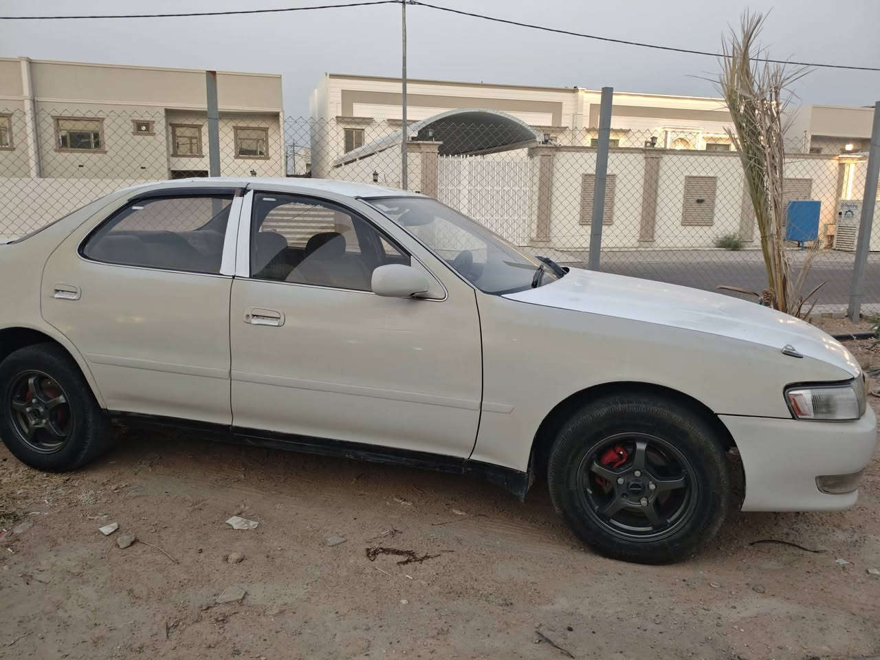 سلام عليكم
كرسته اصولي رقم انكليزي مكانها النجف بأسمي 
تحويل ثاني يوم 
السعر 48 وبي مجال 
‏‪***********‬‏
