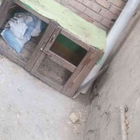 بيت دجاج • منزل دجاج • اقفاص دجاج • تكمه • مستلزمات دجاج