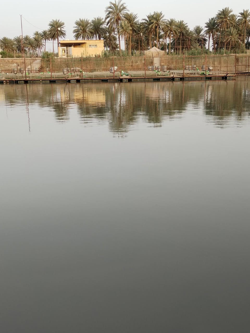 #للبيع
ارض زراعيه شاطيه ٢٢دونم مع دور سكنيه عدد ثنين عقد ١١٧ مع بستان عشره دونم عدد النخيل 100نخله متنوعه مثمره البستان مجاز رسمي وجه شارع وشط نهر دجله مركز محافظة واسط مع توفر كافة الخدمات 
للتواصل مع صاحب الارض👇 👇 
***********
