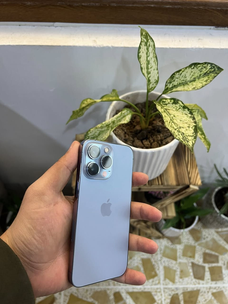 ايفون 13 برو
لاذاكرا128
بطاريه 95
نموذج M
تك سيم 
جهاز شرط وضمان تاخذه
السعر 525
‏‪***********
‏‪***********‬‏
بي مجال حك لجيا فقط
