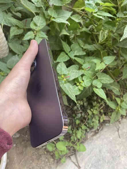 14 برو ماكس مامفتوح مكفول مكاني حله سعر 825 بي مجال بسيط *********** التفاصيل بالصور
