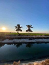 ٤ دوانم • سند مستقل • على نهر الصب