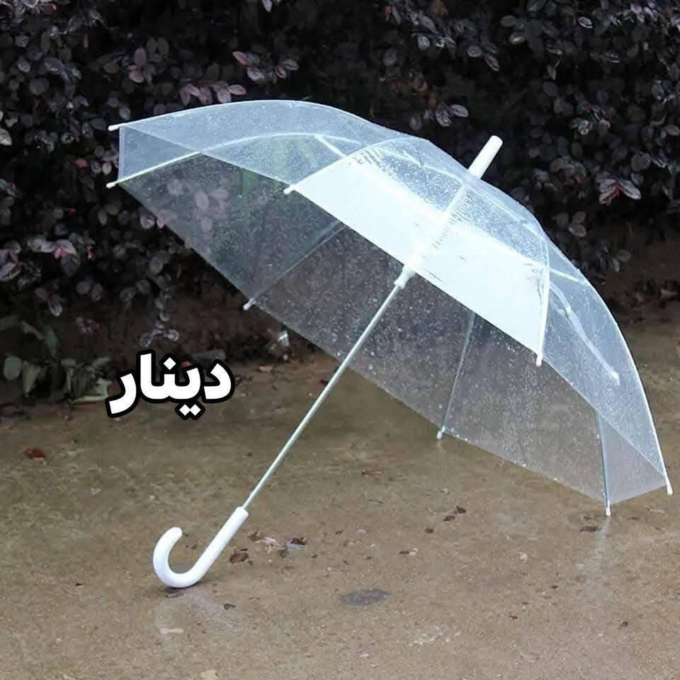 #الكيمة_محدوده_جداا⁉️سعرر3000 فقط

شمسيه مطريه شفافه☔️🌧️

نوعيه ممتازه جدا نايلون متين💯

متوفره بلون الشفاف الطيف الشتائي❄️
‏____________________________________________

للحجز والاستفسار يرجى مراسله الصفحه🤳
للحجز ع رقم وتساب 
7773332270📞
7716639035📞
يوجد توصيل
🚕 بسمايه الف
🚕 بغداد 5000
🚕وكل محافظات العراق 6000
يوجد دفع ماستر💰💰


**إذا كنت صاحب هذا الإعلان وتريد حذفه لأي سبب، رجاءا أرسل رسالة إلى الدعم الفني**
