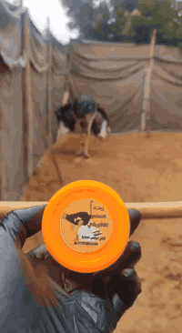 ✨ فوائد علاجية مثبتة وطبيعية 100% ✨

🔹 مسكن قوي لآلام المفاصل والروماتيزم
يساعد على تخفيف آلام الركبة، الظهر، الرقبة، الانزلاق الغضروفي، والتهاب المفاصل بفضل قدرته العالية على اختراق الجلد والوصول للأنسجة العميقة.

🔹 علاج فعال لخشونة المفاصل والتشنجات العضلية
يحسن مرونة المفصل ويقلل التيبس والالتهابات.

🔹 مضاد التهابات طبيعي
يهدئ التورم، الاحمرار، والالتهابات الجلدية والمفصلية بدون آثار جانبية.

🔹 تسريع التئام الجروح والحروق
يساعد على تجديد الخلايا ويقلل الندوب وآثار الحروق والجروح القديمة.

🔹 علاج تشققات الجلد والقدمين
مرطب عميق يقضي على التشققات والجفاف الشديد.

🔹 مفيد لمشاكل الجلد
يساعد في علاج الأكزيما، الصدفية، الحساسية، وحب الشباب.

🔹 تقوية الشعر ومنع التساقط
يغذي بصيلات الشعر، يعالج القشرة، ويمنح الشعر لمعانًا وكثافة طبيعية.

---

🧬 غني بالفيتامينات الطبيعية 🧬

✅ فيتامين A
يجدد خلايا الجلد ويحسن نضارته ويقوي المناعة الجلدية.

✅ فيتامين E
مضاد أكسدة قوي يؤخر علامات الشيخوخة ويحمي الجلد من التلف.

✅ فيتامين D
يساعد في دعم العظام والمفاصل عند التدليك الموضعي.

✅ أوميغا 3 – 6 – 9
تغذية عميقة للخلايا، تقليل الالتهابات، وتحسين صحة الجلد والشعر.

---

🌿 يمتاز زيت النعام بـ:
✔ سرعة الامتصاص
✔ لا يسبب حساسية
✔ مناسب لجميع الأعمار
✔ استخدام خارجي آمن

📌 النتيجة:
راحة للمفاصل ✨ بشرة صحية ✨ شعر قوي ✨ علاج طبيعي بلا كيماويات

📞 اطلب الآن واستفد من قوة الطبيعة في زجاجة واحدة
***********
***********
واتساب سعر العلبة 14 الف دينار والتوصيل مجاني لجميع محافظات العراق
