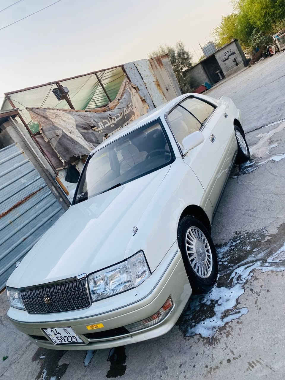 سلام وعليكم راس ثور مكفوله من الكص وضربه نقل جثه فقط رقم بصره إنكليزي سنويه مجدد 2028 مكينه وكير فيفيتي بل كارتون تخم تاير تبريد ثلج سعر 73 رقم الهاتف *********** لعنوان بصره زبير  خوان رجان الي مو شراي لا ينتصل
