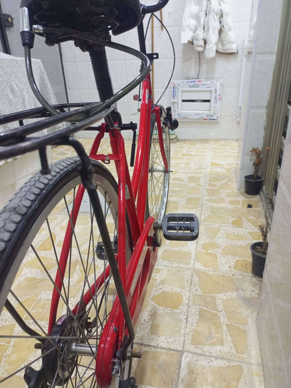 بايسكل للبيع موديل 2018بايسكل نضيف90\100
السعر 100وبي مجال كلش قليل والله بايسكل نضيف كلش بس متوازي وغراضه كامله جاملغات داينمو والله لو مو احتاجيت جا مابعته يعني90مايصرف


**إذا كنت صاحب هذا الإعلان وتريد حذفه لأي سبب، رجاءا أرسل رسالة إلى الدعم الفني**