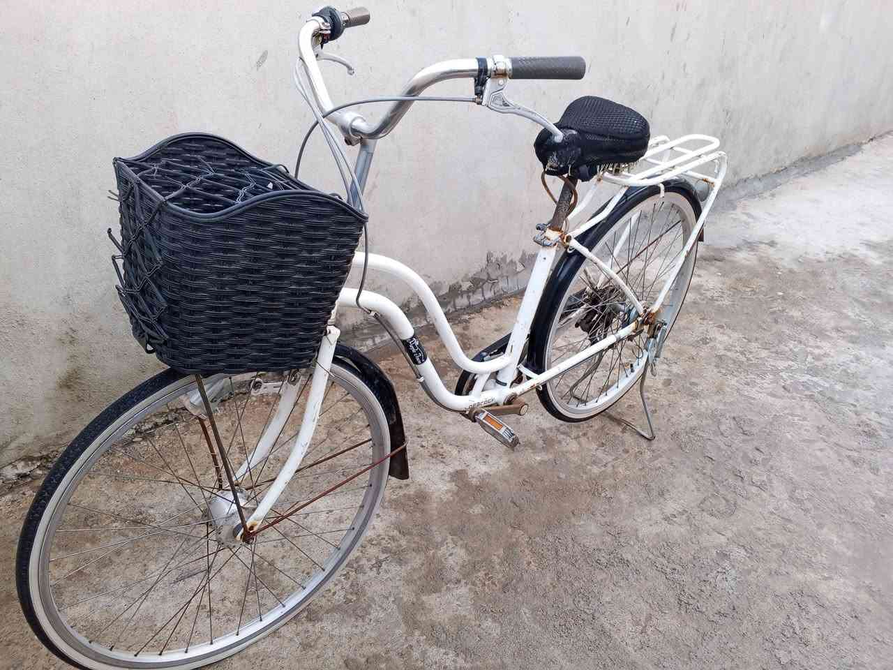 باسكيل للبيع حجم 26 سعر 80بي مجال


**إذا كنت صاحب هذا الإعلان وتريد حذفه لأي سبب، رجاءا أرسل رسالة إلى الدعم الفني**