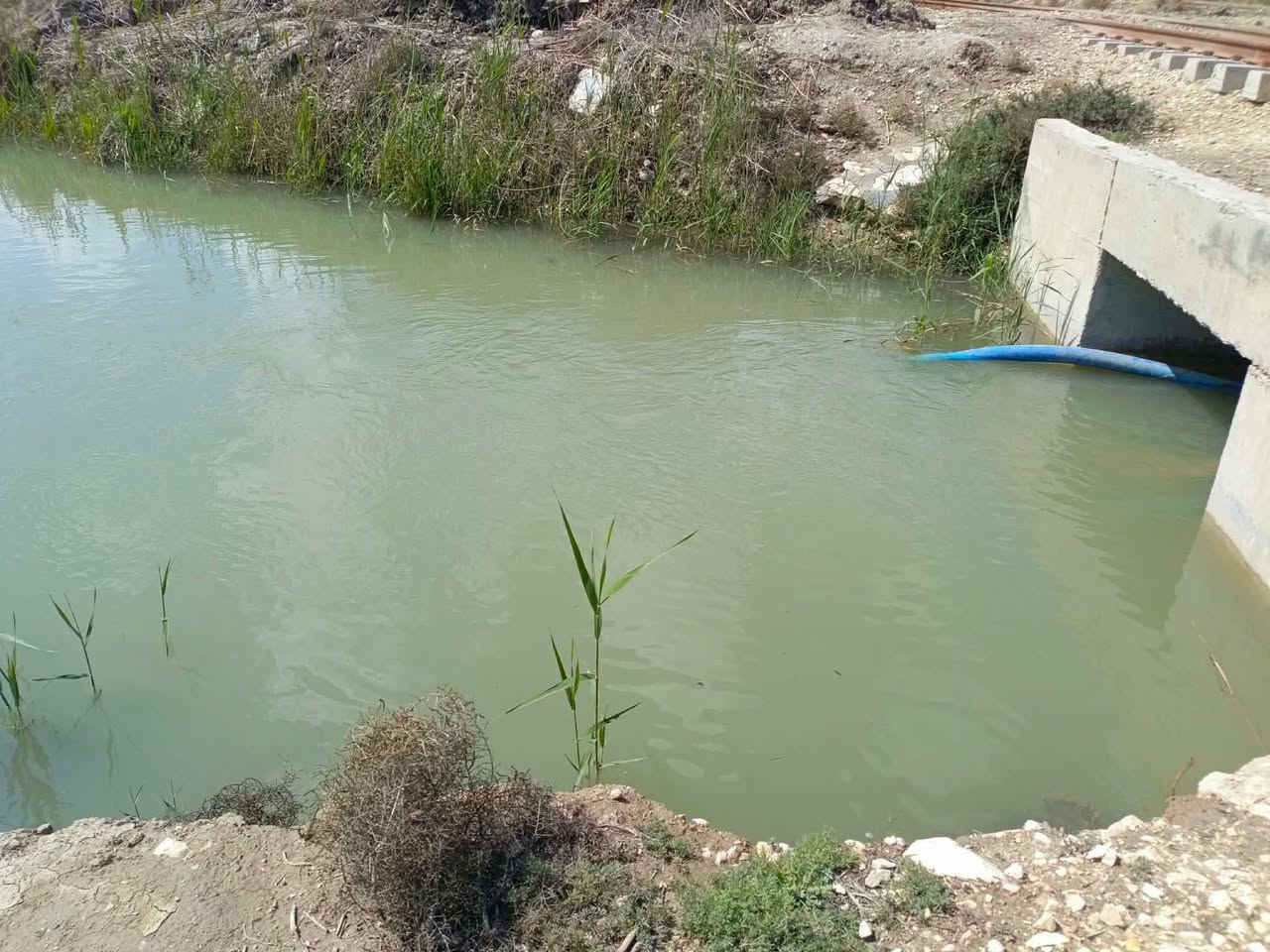 بستان مساحة 6 دونم
قرب شركه السطح الامين ال محينه نزلت النغيمشي قرب سكت القطار بستان زراعي يوجد فيه ((نخل حمال بنوعيات جيدة))  محوط بنهر واجهته على الشارع سبيس 
خدمات ماء + كهرباء
وماطور سقي كلشي متوفر
 الدونم الواحد ب 35 وبي مجال
السعر الكلي 200 مليون وبي مجال
***********
