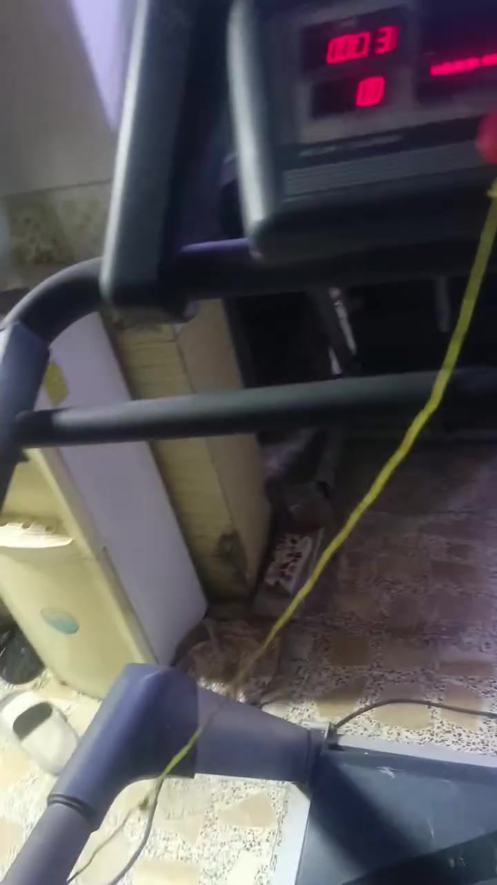السلام عليكم اجهزه رياضيه العدد اثنين اجهزه مال قاعات وزن ثقيل وين  اليريد وزن ثقيل يجي بيهن قياس المسافه المقطوعه ونبضات القلب والعدد السعرات الحراريه ماطور ضخم   سعر الواحد 300 مكاني بغداد مدينة الصدر وهذا رقمي ***********
