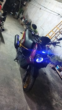 سكنس جبلي • نقصها دبلات • مأكو اوراق