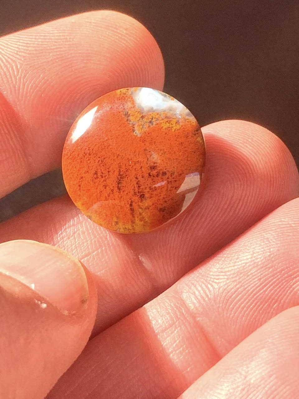 شجرية طحلبية حمرة روعة .. السعر مناسب


**إذا كنت صاحب هذا الإعلان وتريد حذفه لأي سبب، رجاءا أرسل رسالة إلى الدعم الفني**