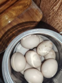 بيض بوطاني • بيض