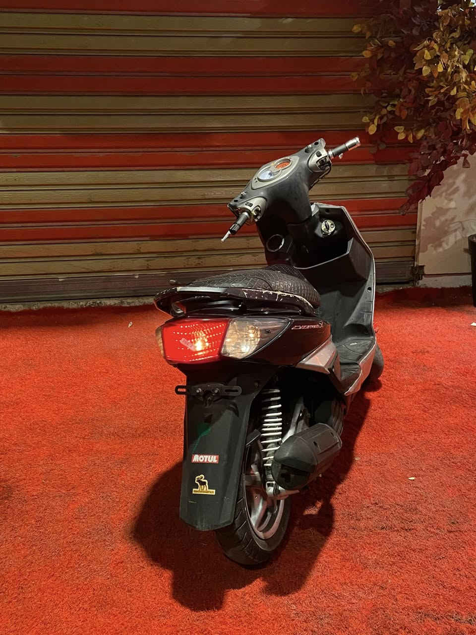 سلام عليكم (دراجة سكنس فحل نوزل  للبيع )الكهربائيات كلهة شغاله سلف هندر الايتات الماميه شغاله وليوره شغاله  (لدبلات امامي خلفي شغال  .بريكات) قفل ستيرن قفل الجوزه كلهن شغالات)كامله 
(الدرجه خير من الله على وضع البلاد ) 
لتواصل واتساب (***********) المكان بغداد الاعظمية السعر750 وبيها  مجال حك الجيه
