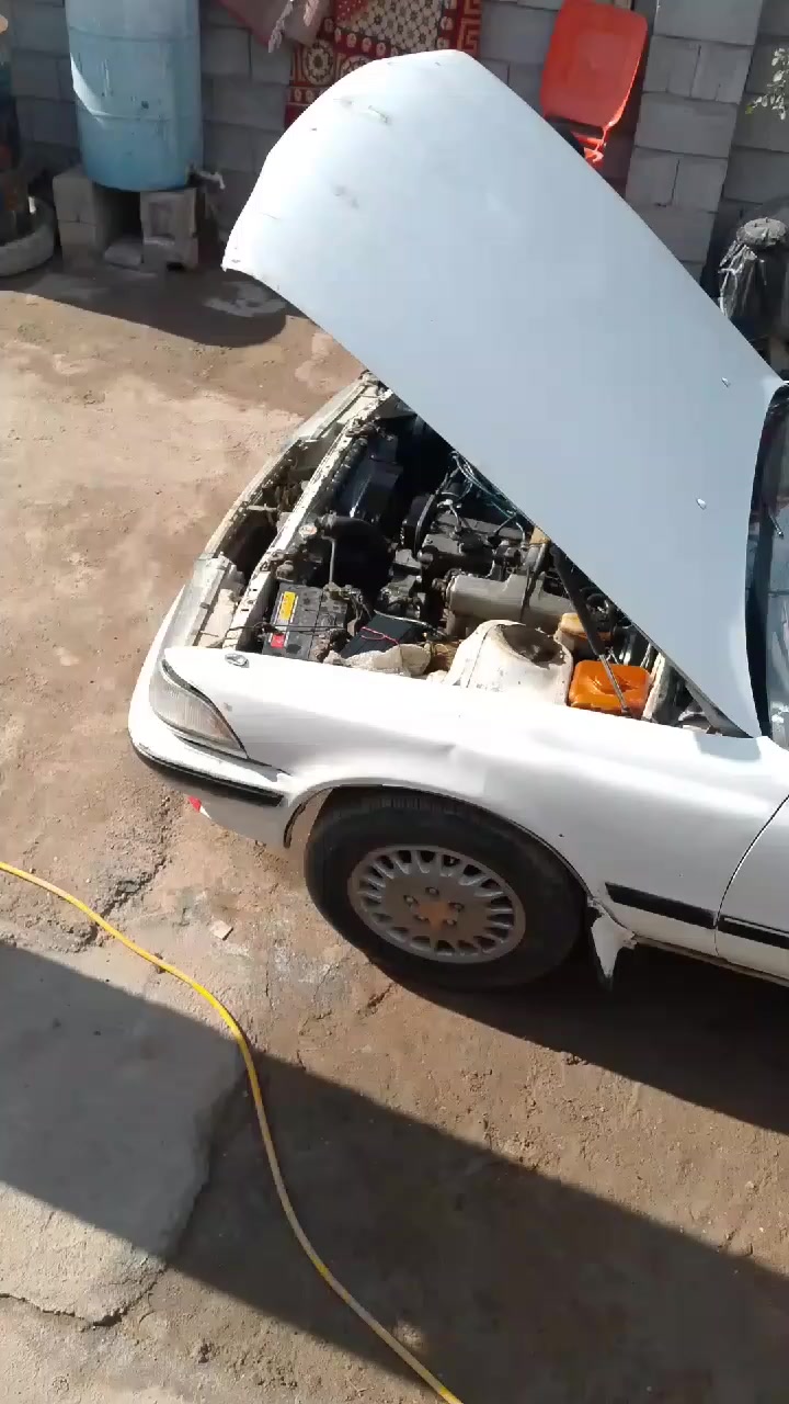 السلام عليكم القصيف للبيع سياره مقفوله ولا قصه ولا نقد سياره باسمني رقم دولي اريدل موجود تحويل ثاني يوم السياره مكينه ونجي حلوه ولا تبخر ولا تنقص السياره ب 30 وبيها مجال مكاني بصره القرني سياره اعطيك اياها ولا قصه ولا نقد سياره حلوه نظيفه سياره يعني ما تعبه ما متعبها راعيها حلوه سعر ب 30 مجال قليل في مجال قليل ***********
