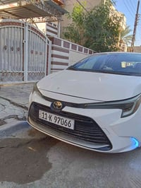 كورلا امريكي 24 بيع او مراوس مكان بياع 07710903431