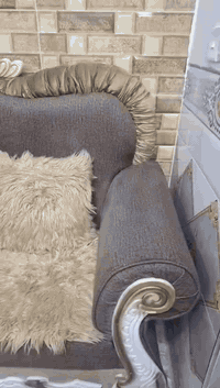 تخم ملكي للبيع نضيف جدا بسعر مليون ٢٥٠ للاستفسار خاص


**إذا كنت صاحب هذا الإعلان وتريد حذفه لأي سبب، رجاءا أرسل رسالة إلى الدعم الفني**