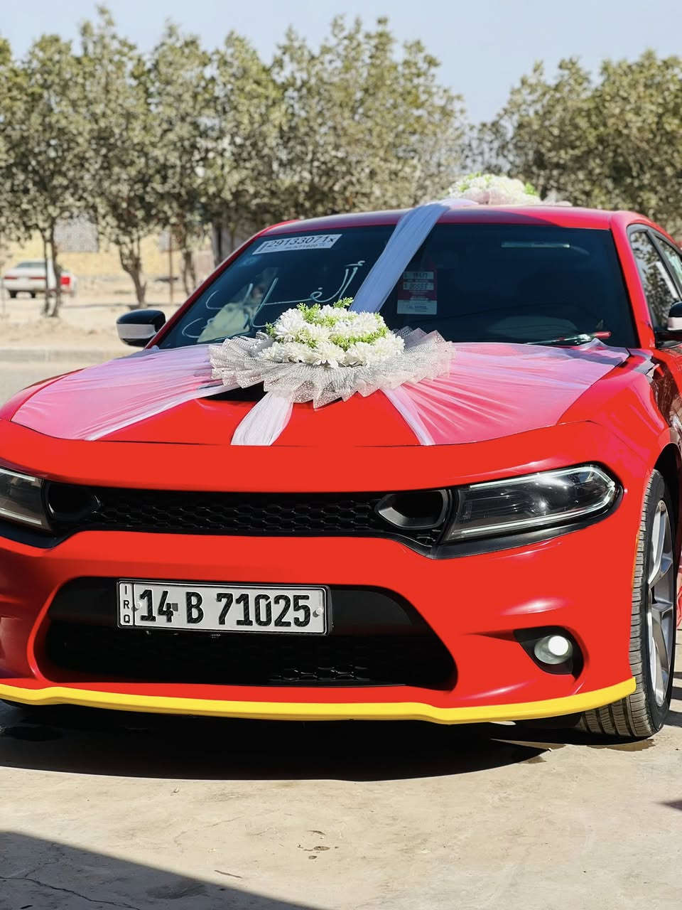 تزيين سيارات بدون لاصق 
الاسعار 20/25/30/40
متوفر اجار سيارات راعيه وياها
اجار سماعات +الطبول
اجار جنط جهاز العروس
القرنه حي الجمعه شارع النهيرات العام قرب جسر المشاة
للحجز ***********
