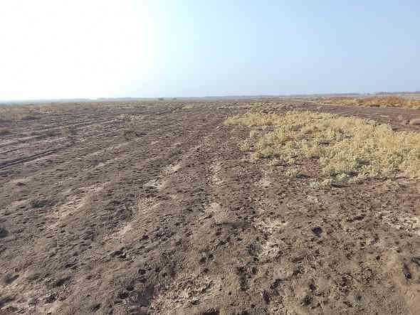 السلام عليك ارض زراعيه للبيع 20دونم عقد زراعي تبعد عن الشارع العام كيلو  واحد  للستفسار ***********
