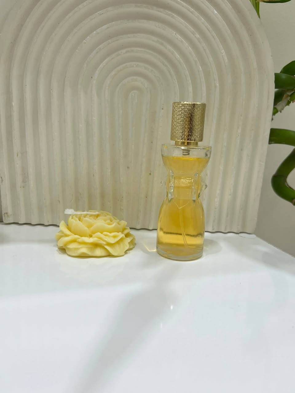 عطور براند عالمي وثباتية اكثر من ١٠ ساعات تاخ واحد ترجع تاخذ مرة ثانية القطعة ب٣ قطعتين ب٥


**إذا كنت صاحب هذا الإعلان وتريد حذفه لأي سبب، رجاءا أرسل رسالة إلى الدعم الفني**