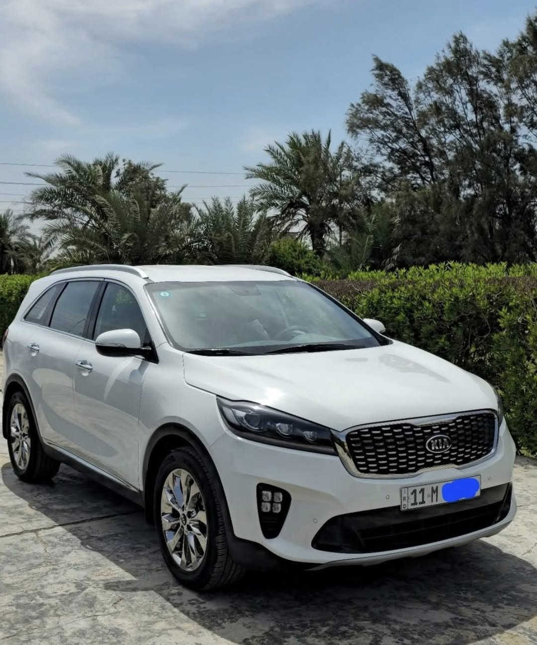 كية سورنتو خليجي  موديل 2018 جديدة ماشية 60 حقيقي مواصفات بصمة جلد كشن كهرباء شاشة كبيرة مري شفط جنة كهرباء  مكان سيارة بغداد المشتل  السعر 260$ بيه مجال لاتصال فقط ***********
