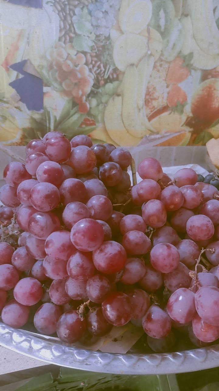 يا الله اللهم صل على محمد وال محمد 

نغيب نغيب ونرجع بشي اقوى وجديد 😁 

التشكيله المرتبة كدامكم ومسواك درجه اولى 

أحلى من الصوره عنوانه مقابيل مطعم إبن فرهود مجاور مركز الكفيل توصيل موجود لكافة أنحاء النعمانيه 

للاستفسار أكثر تفضل خاص أو الاتصال على الرقم

 ***********
