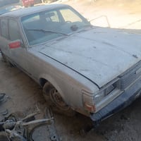 كرونة • ١٩٨١ • ابو صخير