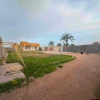 الرمادي الجزيرة • ١٣٨٠م • طابو زراعي سند ٢٥