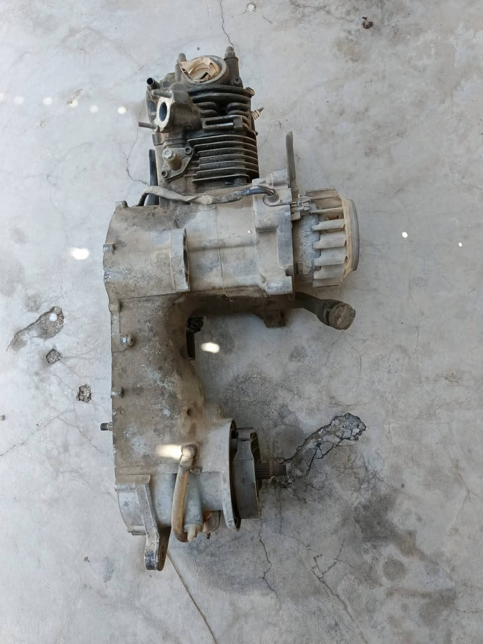 طابوكه مال
درجه ماكس لبيع سعر خاص مكاني كرنه


**إذا كنت صاحب هذا الإعلان وتريد حذفه لأي سبب، رجاءا أرسل رسالة إلى الدعم الفني**