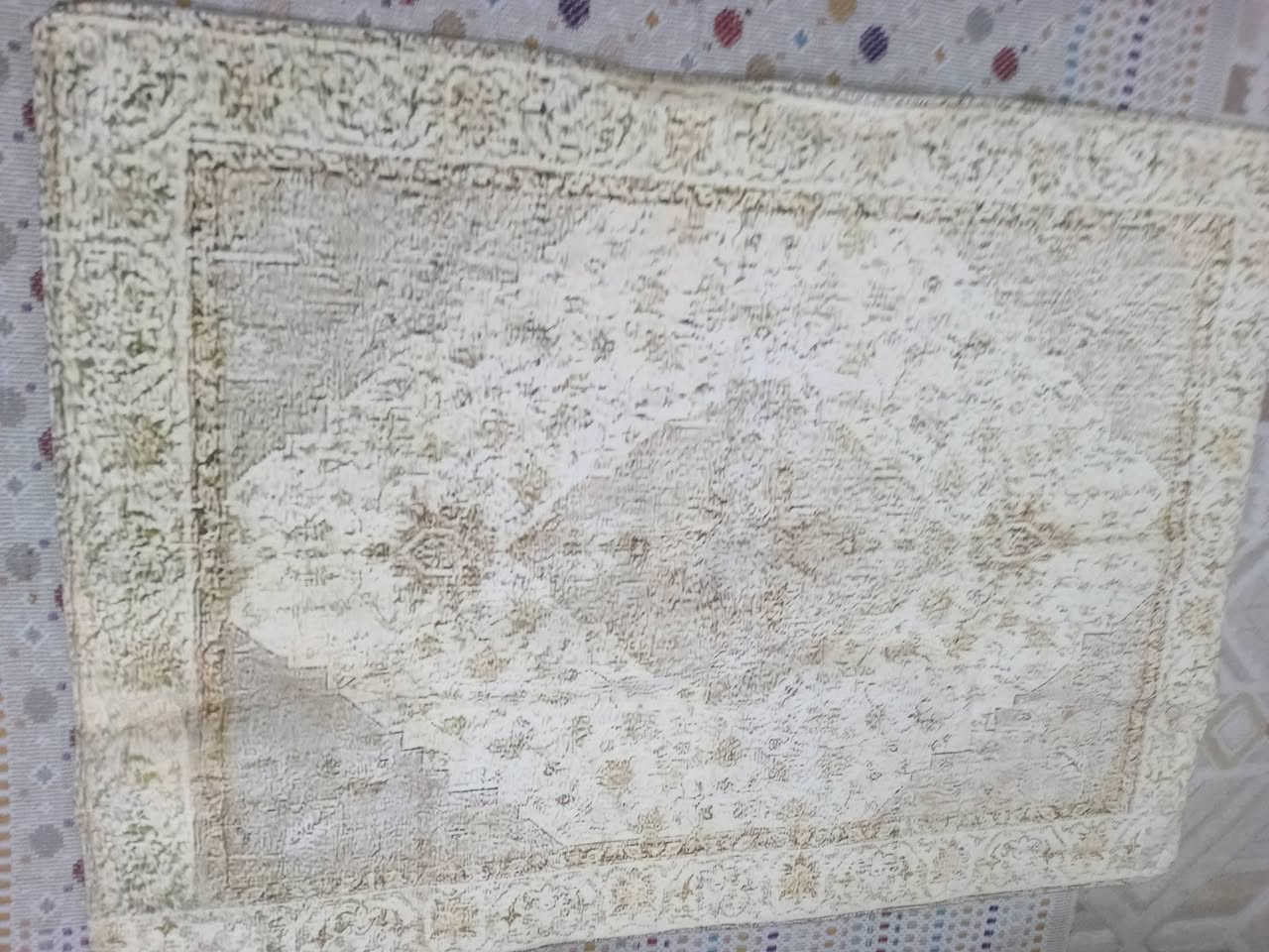 موكيتات وسطيه وحده بيضويه وحده مربعه القطعه بعشره ضهر مانع تزحلق


**إذا كنت صاحب هذا الإعلان وتريد حذفه لأي سبب، رجاءا أرسل رسالة إلى الدعم الفني**