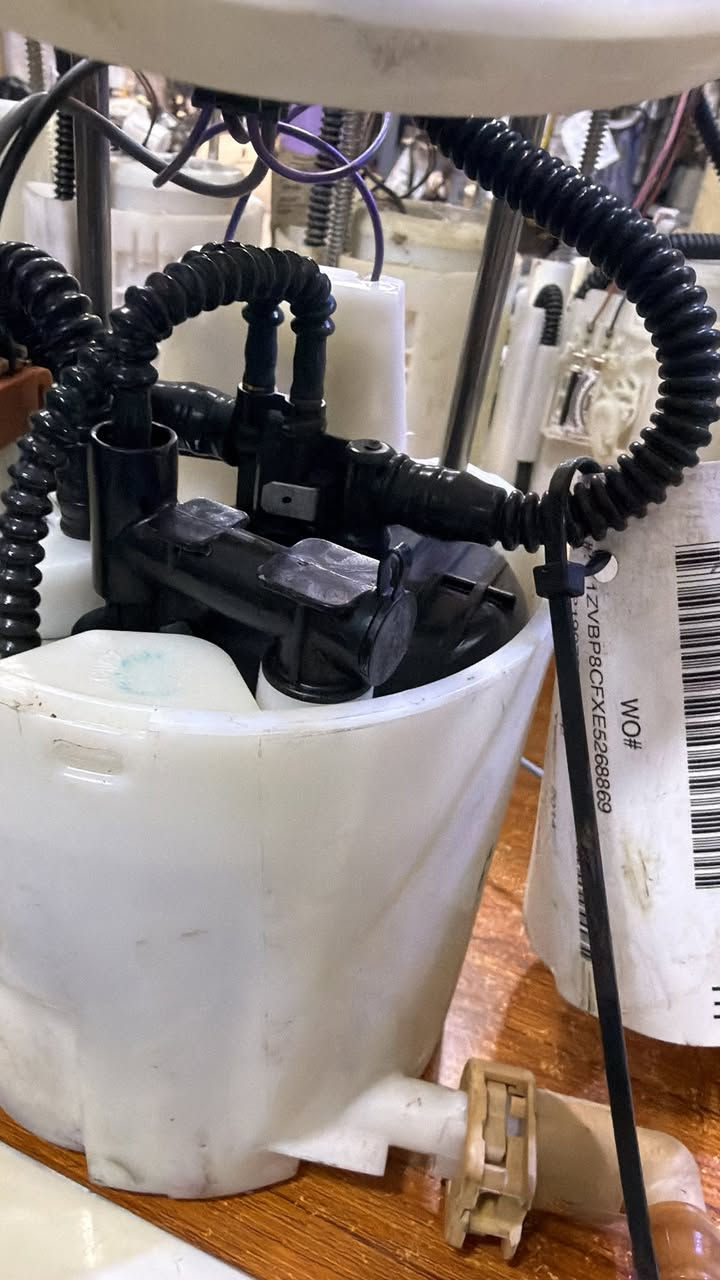 سلام وعليكم قاعده فيت بم موستنك 2023/2010  اصليه كامله حاويه وارد سعر 100 الف واصله الك متوفر جمله مفرد


**إذا كنت صاحب هذا الإعلان وتريد حذفه لأي سبب، رجاءا أرسل رسالة إلى الدعم الفني**