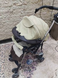 عربانة • نضيفة • ام الكبر والغزلان