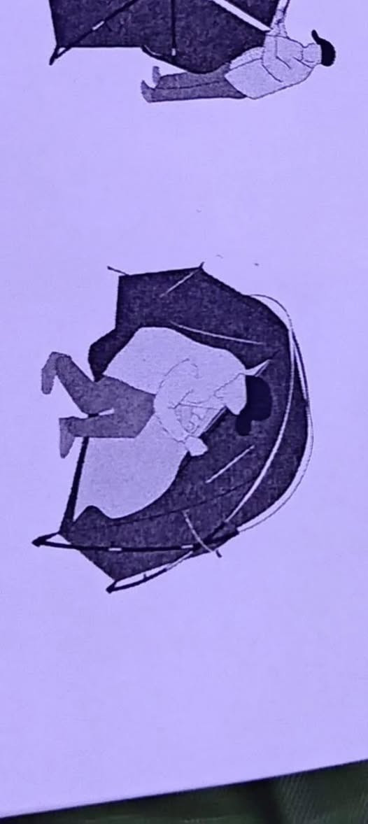 خيمه وكرك وسفره وستيباك كلهن ب20 الف اول تم


**إذا كنت صاحب هذا الإعلان وتريد حذفه لأي سبب، رجاءا أرسل رسالة إلى الدعم الفني**