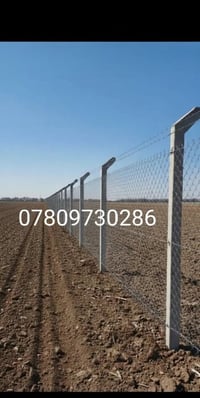 علي حلة بابل • ديكور