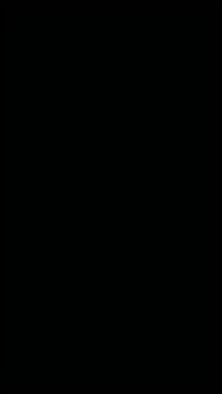 ألوان من كربلاء • رسام كربلائي • علي حيدر